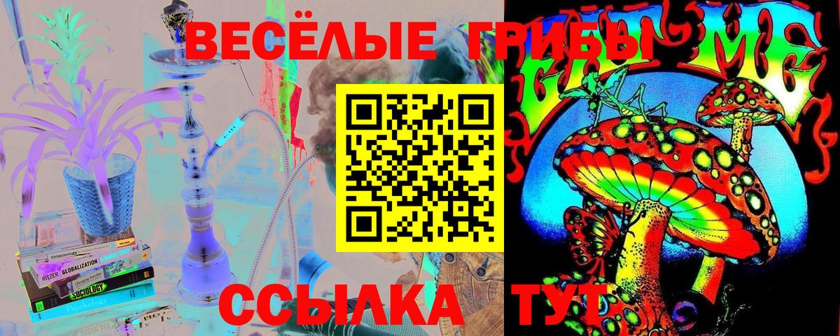 Псилоцибиновые грибы Psilocybe  магазин  наркотиков  Волгодонск  Вход с VPN 