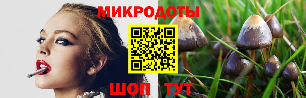 Псилоцибиновые грибы Cubensis Волгодонск